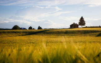 Landschaft, Feld mit Haus